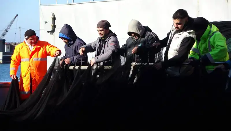 Denizlerde Hamsi Avı Sonlandı: Balıkçılar Erken Paydos Etti