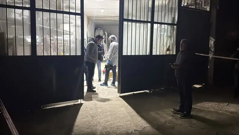 İş Yerinde İşlenen Korkunç Cinayet: Sırrın Ardındaki Gerçekler