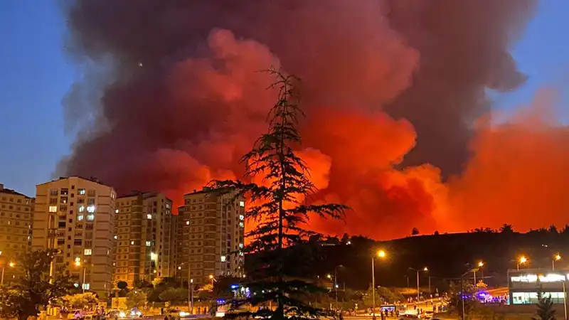 Bursa’daki Yangınlar: Şehir Küller İçinde Kalıyor, Neler Oluyor?