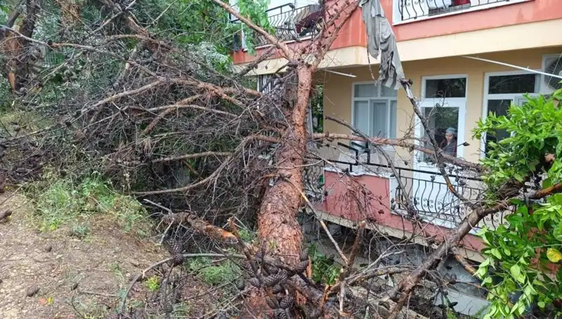 Şiddetli Yağışlar Sonrası Bina Çöktü: Mahallede Büyük Panik!