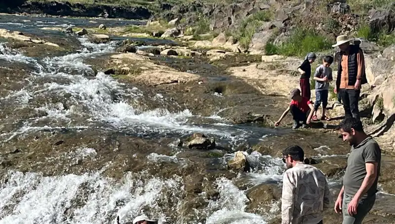 İnci Kefali Göçü: Doğa Harikası Binlerce Turisti Büyülüyor