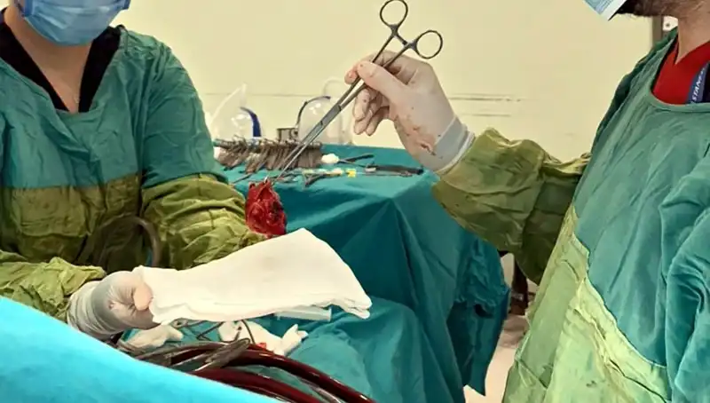 7 Saat Süren Ameliyat: Çürüyen Kalp Kapağının Mucizevi Kurtuluşu