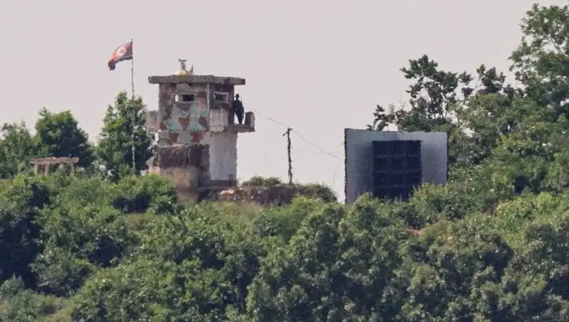 Kuzey Kore'den ABD'ye Yıllar Sonra Uzatılan Barış Zeytin Dalı