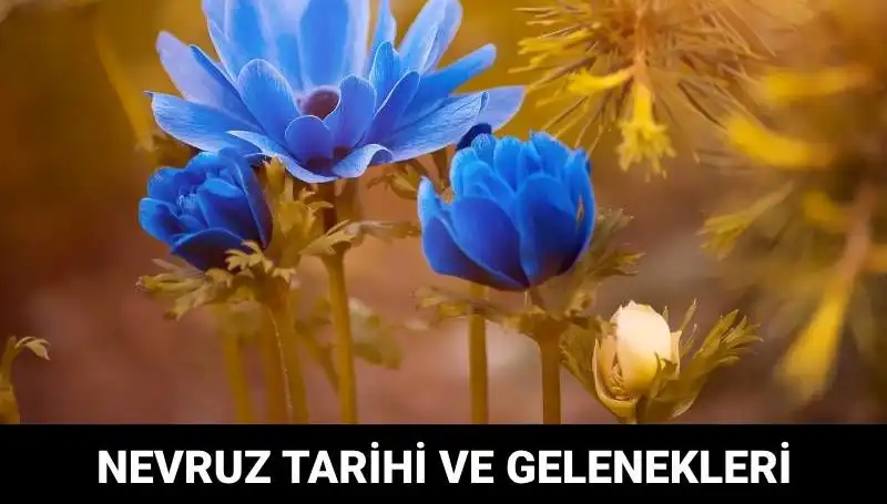 Nevruz Bayramı: Gelenekleri ve Kutlama Tarihleriyle Unutulmaz Bir Şenlik