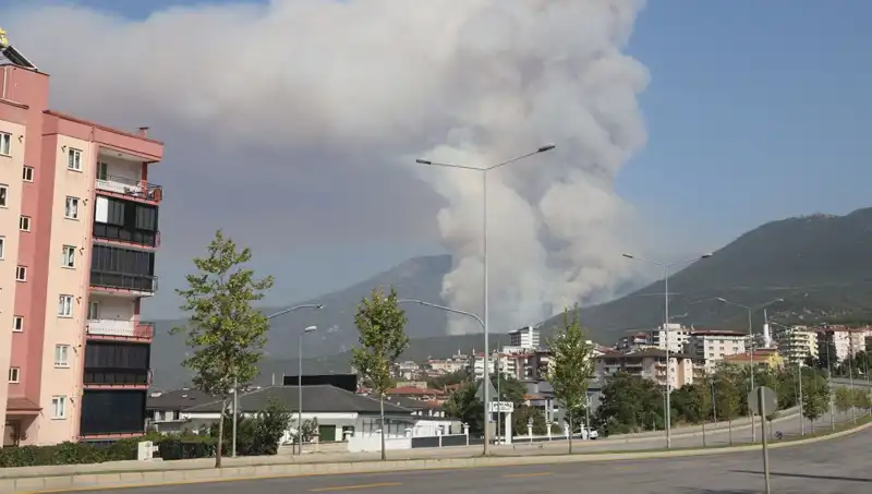 Denizli’deki Orman Yangını: Bir Şüpheli Gözaltına Alındı!