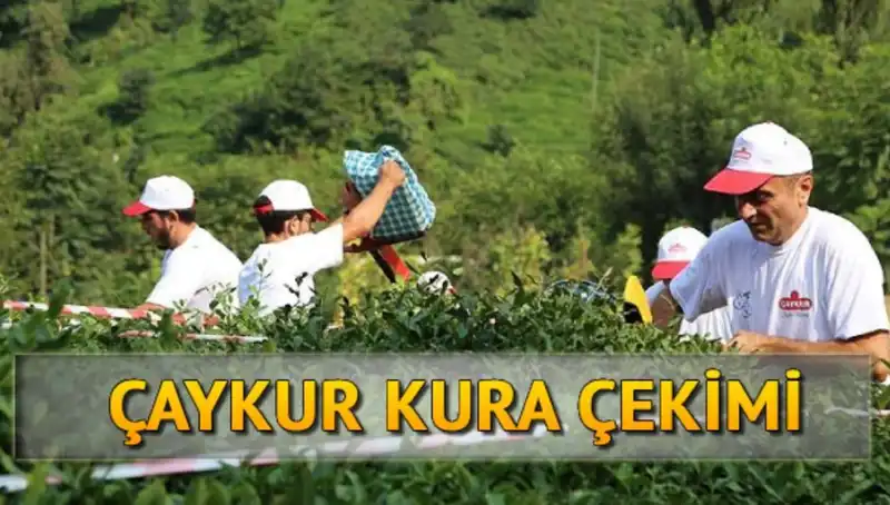 Çaykur Canlı Kura Sonuçları: İsim Listesine Kolay Erişim Yöntemleri