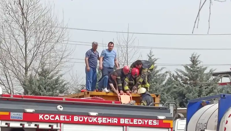 Tehlikeli Madde Taşıyan TIR'ın Kazası: Tankın İçine Düşen Sürücü Hayatta Kalabilecek mi?