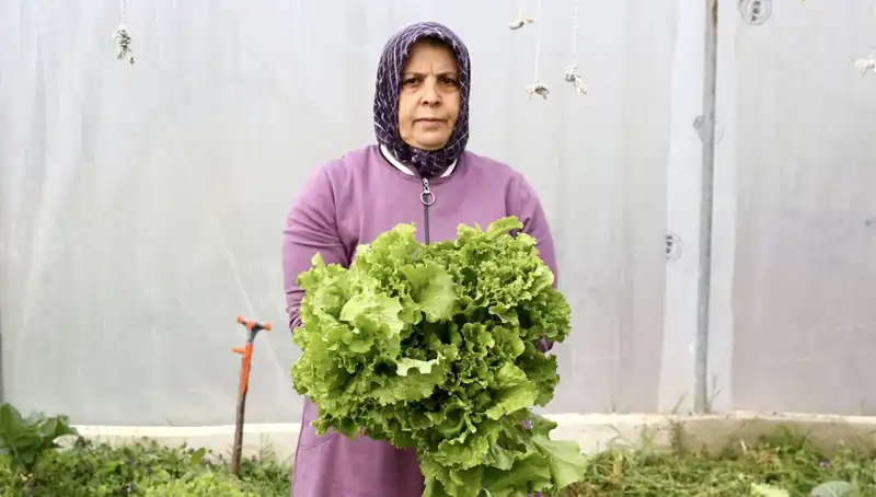 Emekli Olup Devlet Desteğiyle Hayallerini Gerçekleştiren Kadın