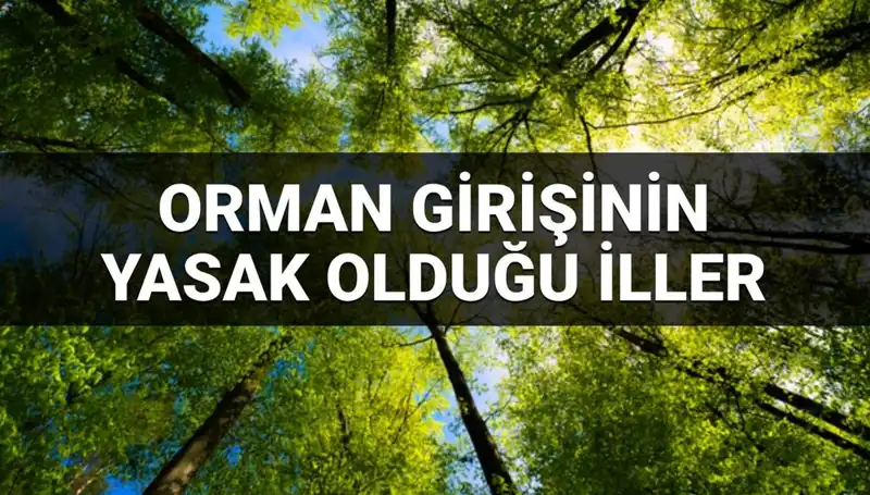 2025'te Ormana Girişi Yasaklanan İller Açıklandı: Sıra Dışı Kararların Sebepleri Nelerdir?