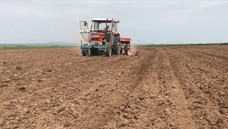 Son 35 Yılın En Kurak Mart'ı: Yağış Miktarı Yüzde 59 Düştü