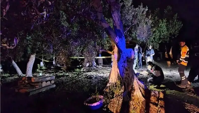 Çiftlikteki Baltalı Vahşet: Olayın Ardında Kim Var?