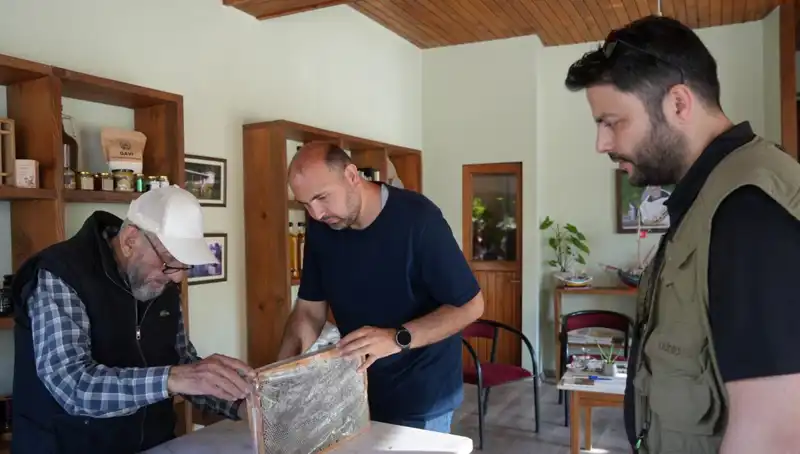 Sağlık İkiliği: Bir Çay Kaşığı ile Hem Şifa Hem de Zehir