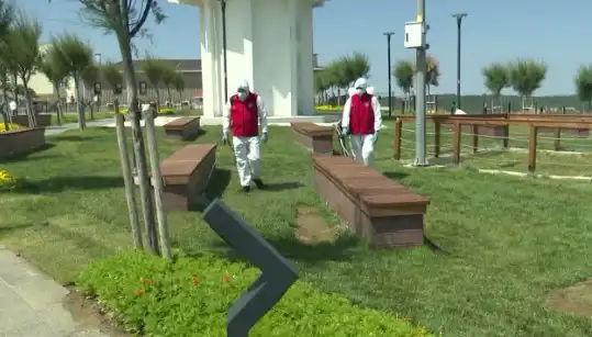 Kene Tehdidi Artıyor, Halka Açık Alanlarda İlaçlama Zorunlu Hale Geldi