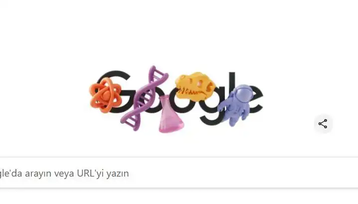 STEM Alanındaki Kadınlar: Google Doodle ile Kutlamanın Önemi