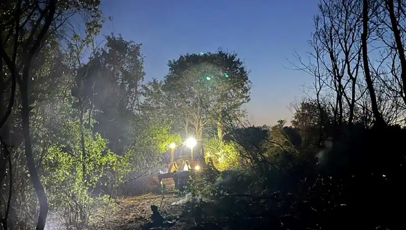 Edirne'deki Yangın Ekipler Tarafından Başarıyla Söndürüldü