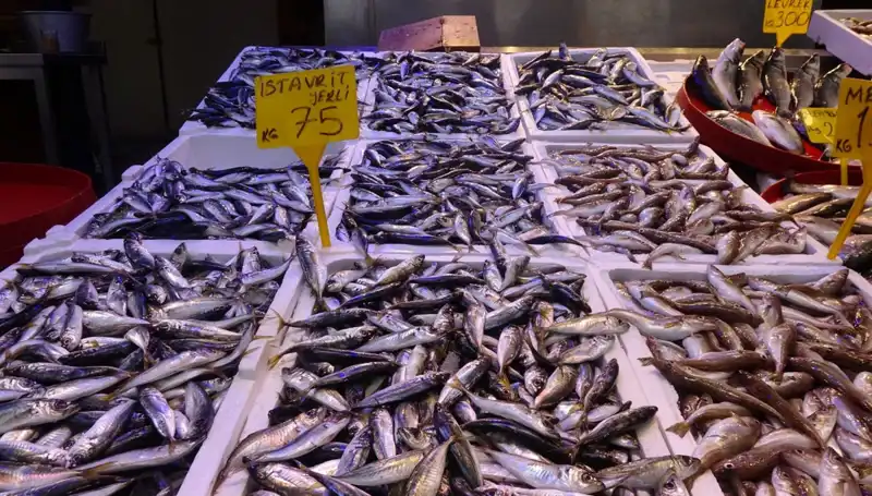 Balık Sezonu Bitiyor: Tutkunlar Son Fırsatları Kaçırmasın!
