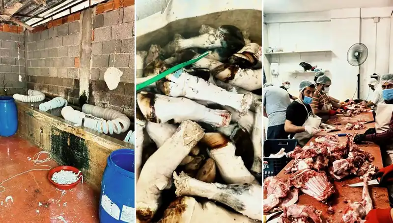 Adana'da Sağlık Skandalı: Yüzlerce Kilo Paça Ele Geçirildi