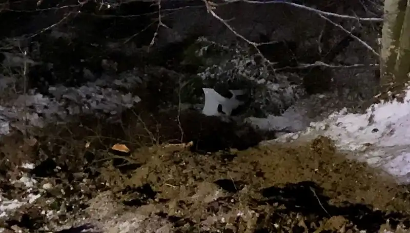 İnegöl'deki Feci Kaza: Araç 100 Metre Derinliğindeki Uçuruma Düştü