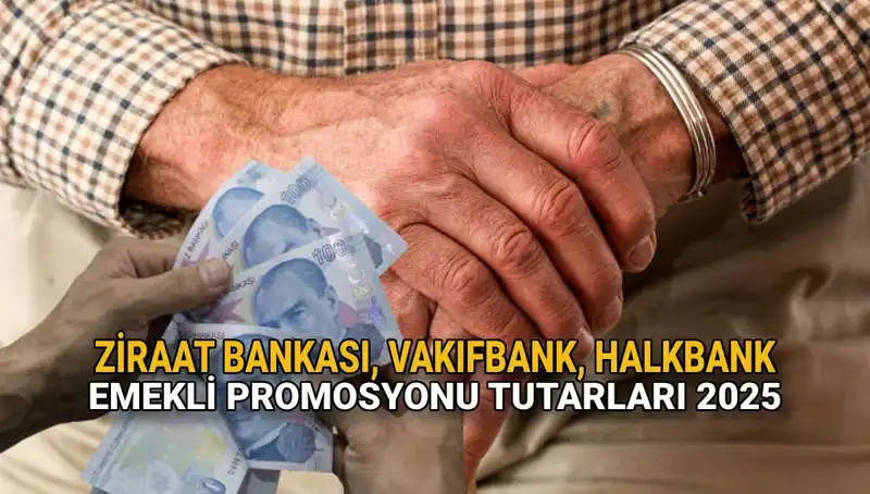 2025'te Emeklilere Özel Promosyon Fırsatları: Kamu Bankaları Neler Sunuyor?