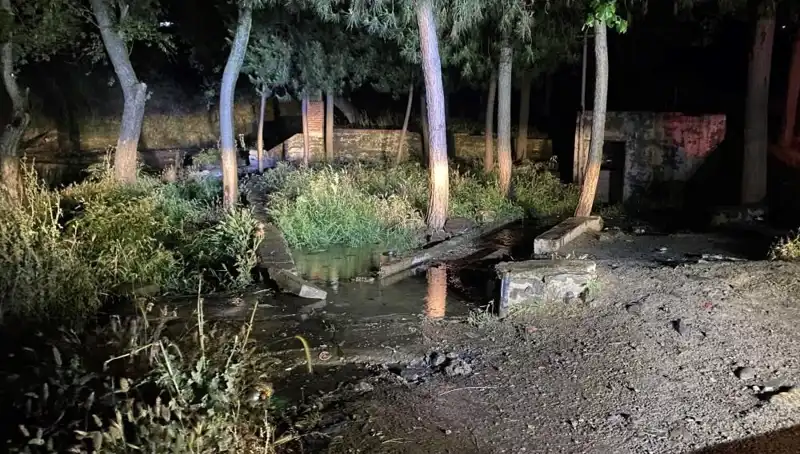 Manisa'da Parkta Gizemli Ölüm: Olayın Ayrıntıları Ne?